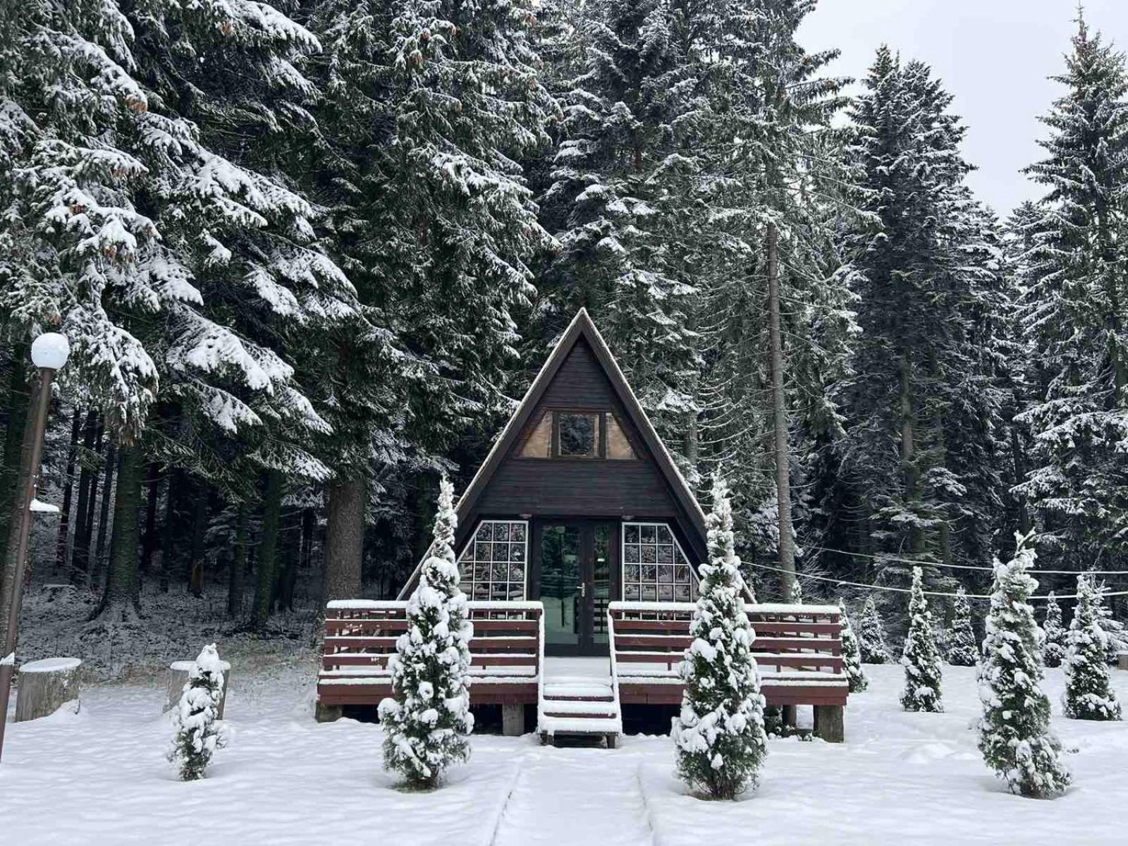 Villas Mura With Spa & Hot Swimming Pool Boroveț Exterior foto